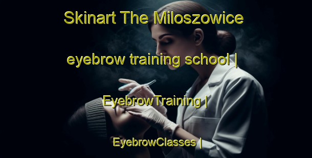 Skinart The Miloszowice eyebrow training school | EyebrowTraining | EyebrowClasses | SkinartTraining-Poland